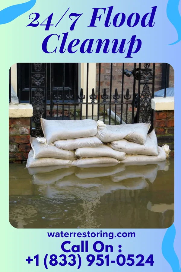24/7 Flood Cleanup in Tildenville, FL